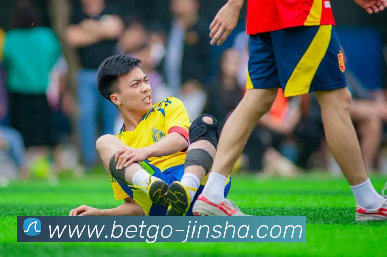 金沙国际平台生态图